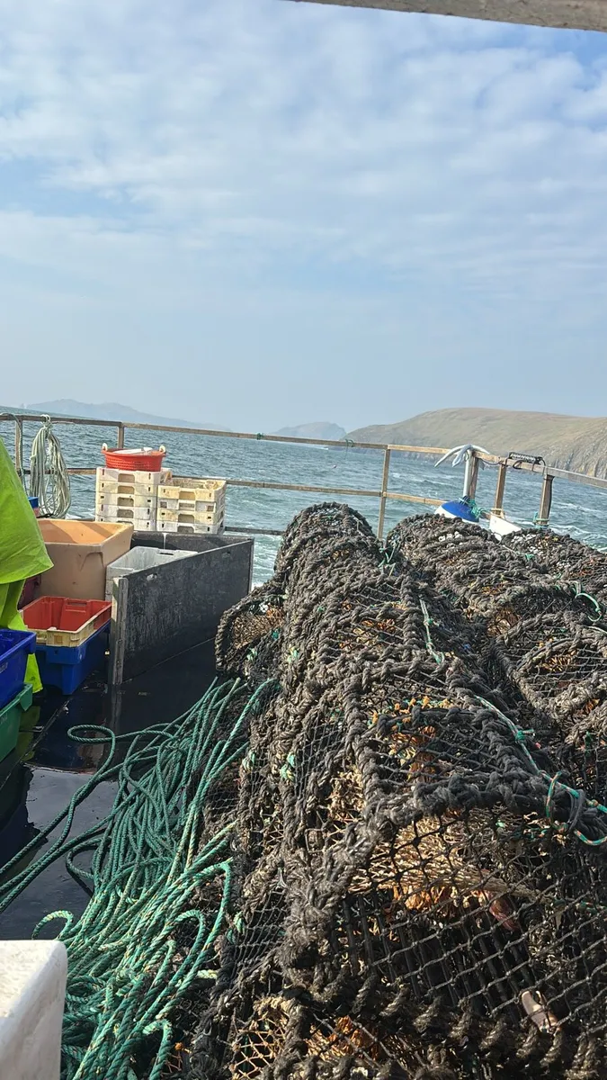 22-24 inch lobster/crab pots - Image 2
