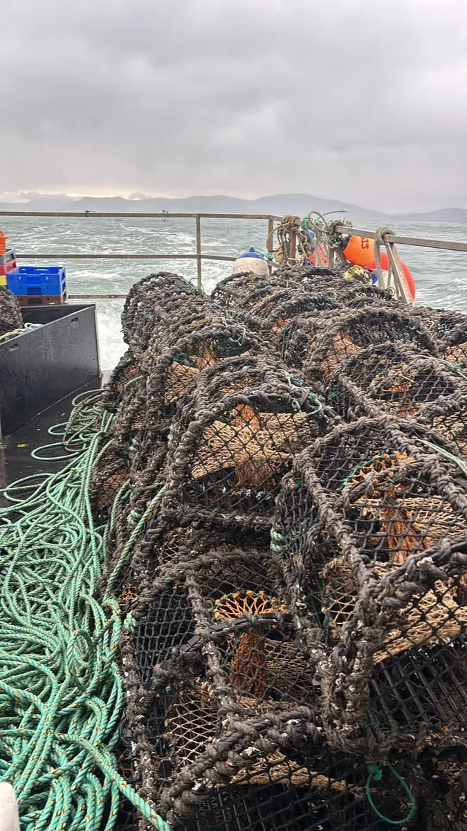 22-24 inch lobster/crab pots - Image 3