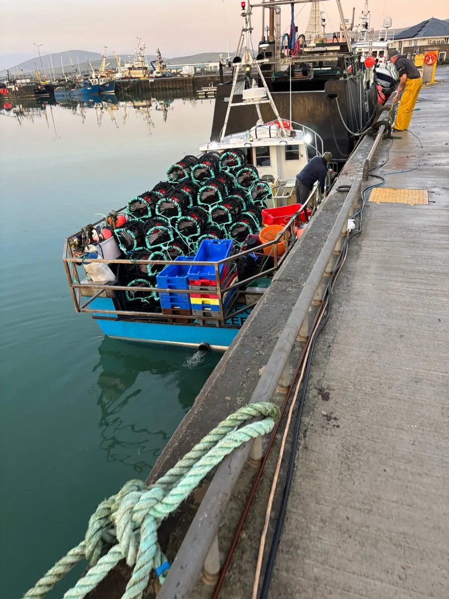 22-24 inch lobster/crab pots - Image 4