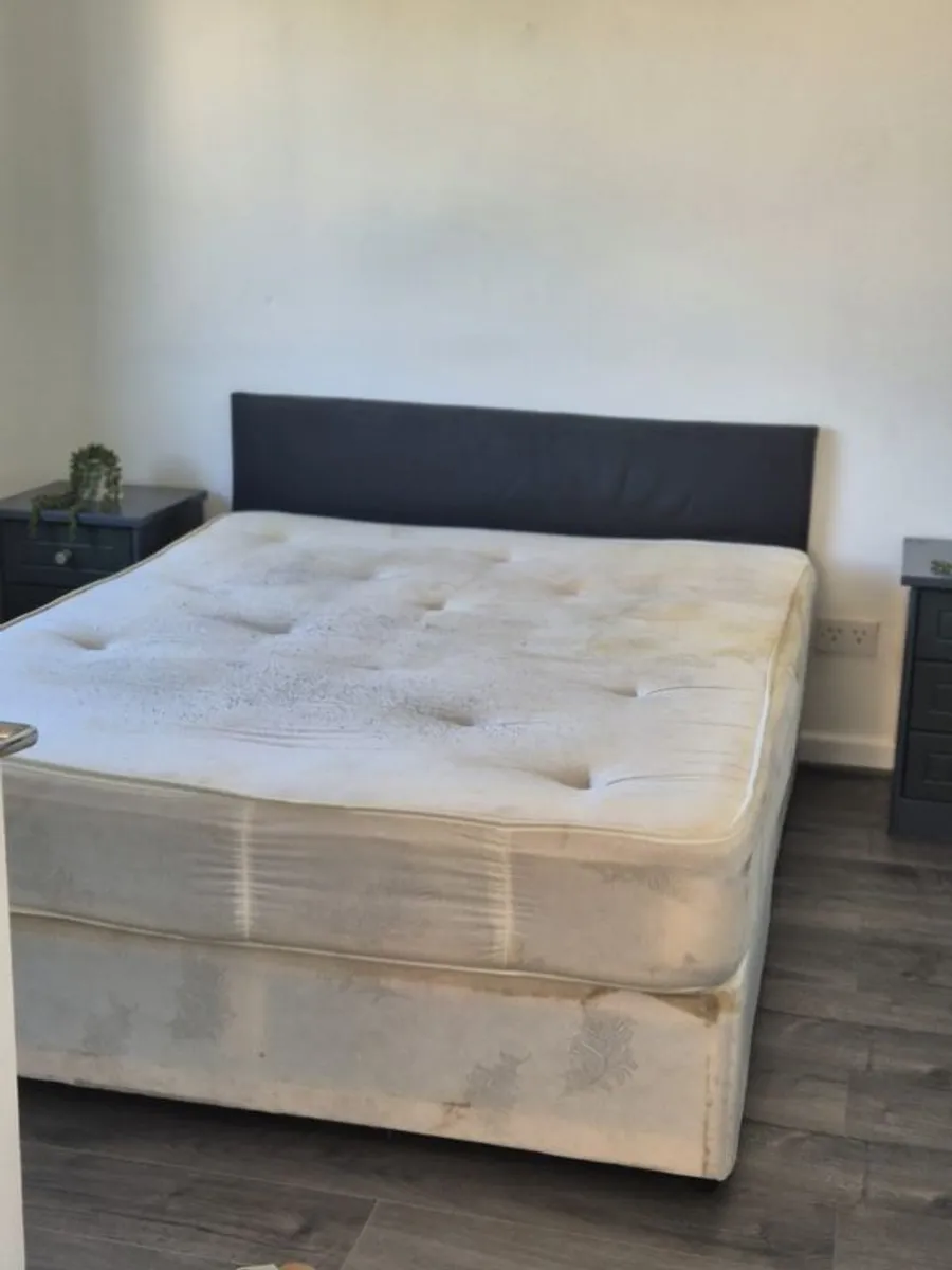 king bed  free to take away - Image 1