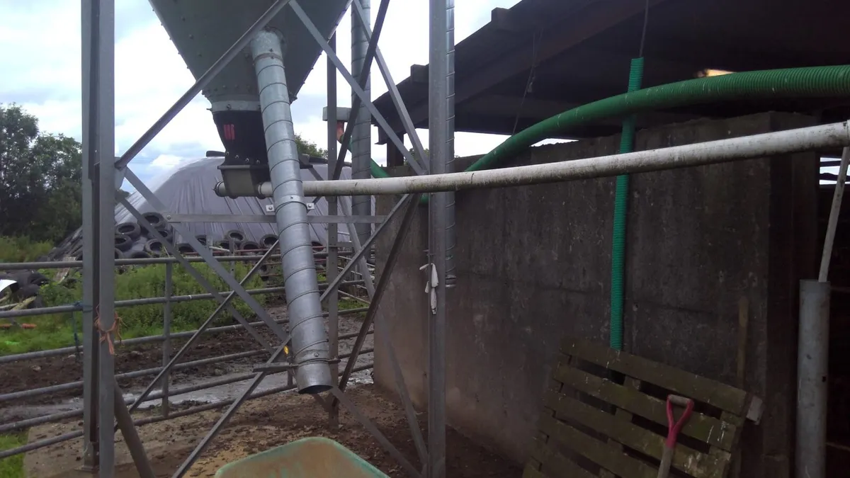 Cashman Feeders - Image 1