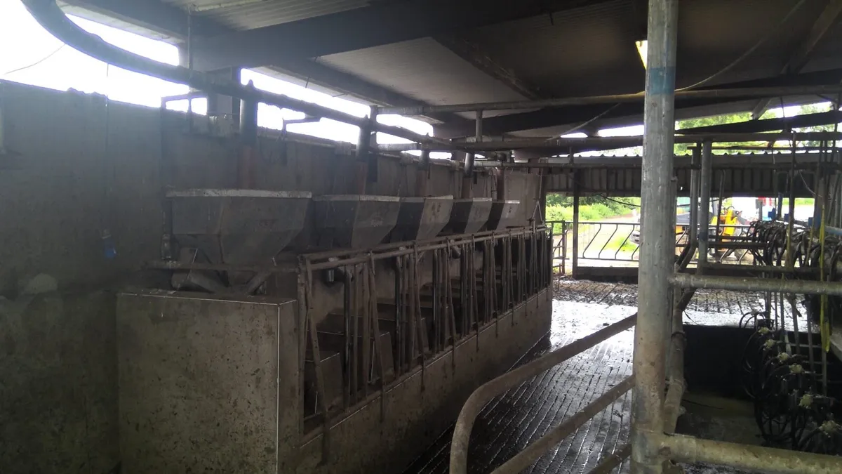 Cashman Feeders - Image 2
