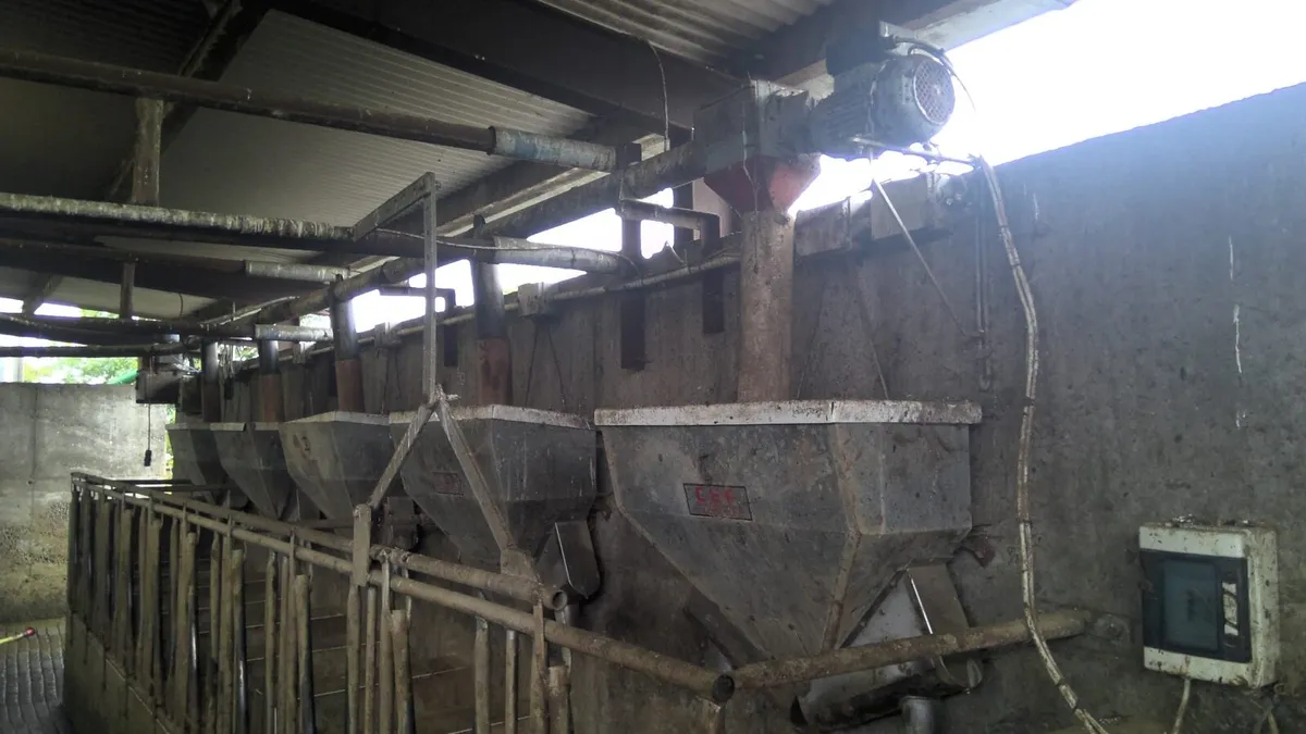 Cashman Feeders - Image 4