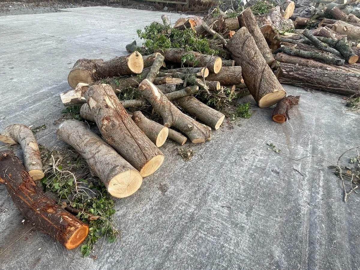 Firewood Lenghts - Image 1