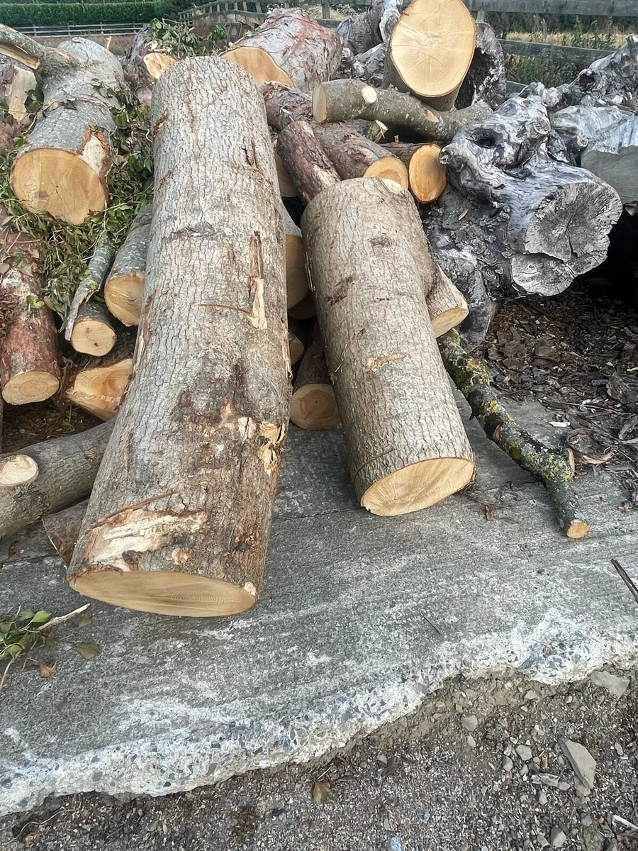 Firewood Lenghts - Image 2