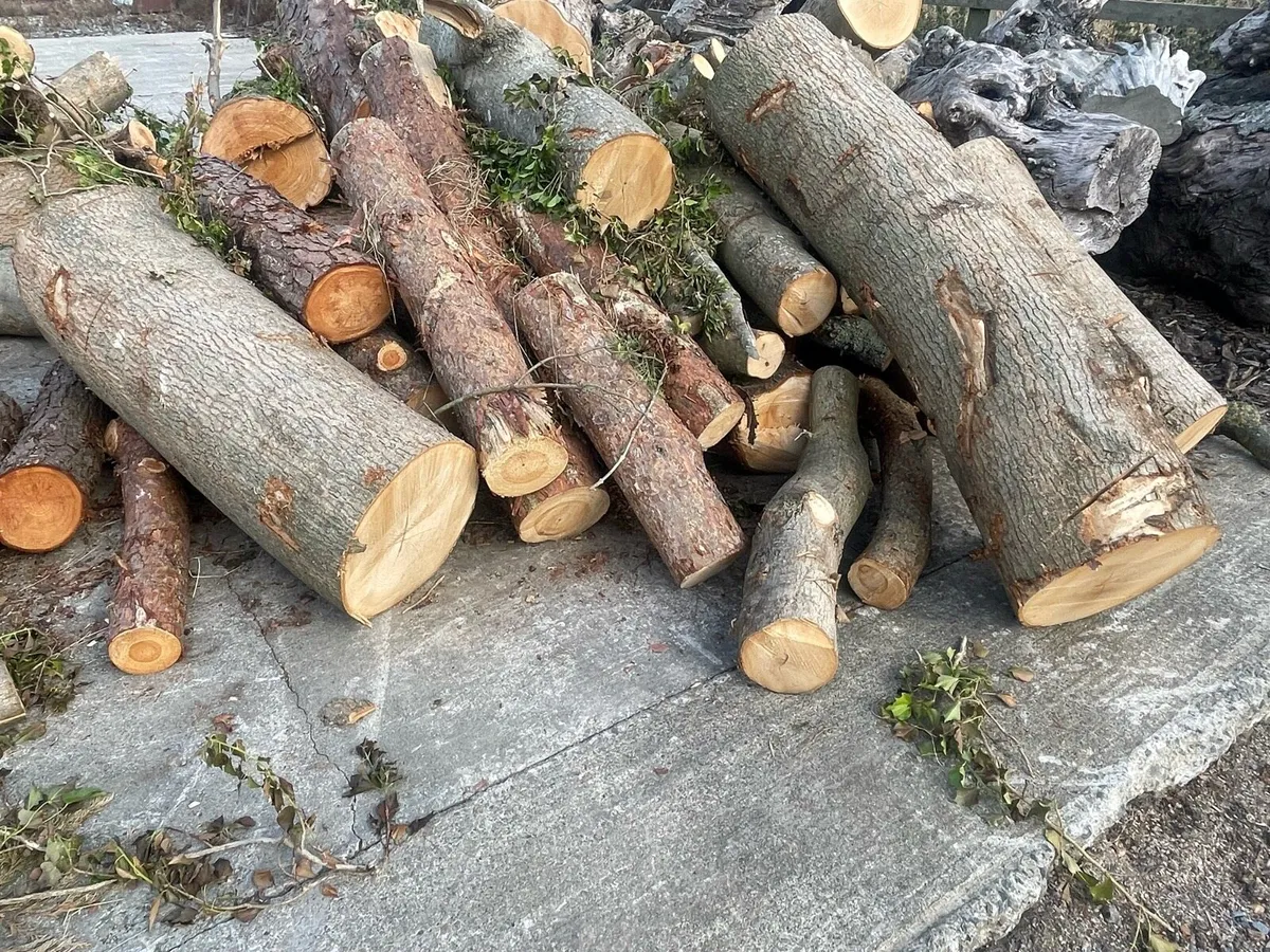 Firewood Lenghts - Image 3