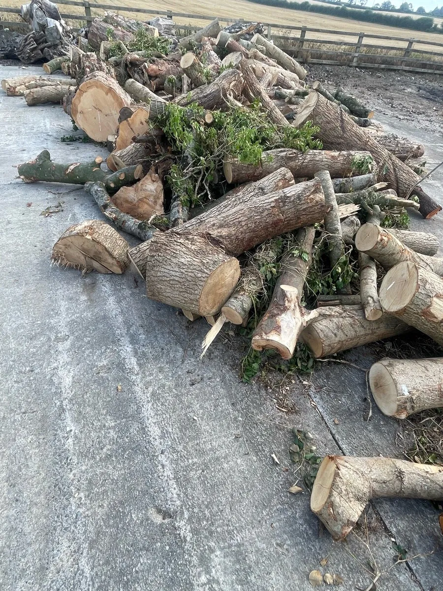 Firewood Lenghts - Image 4