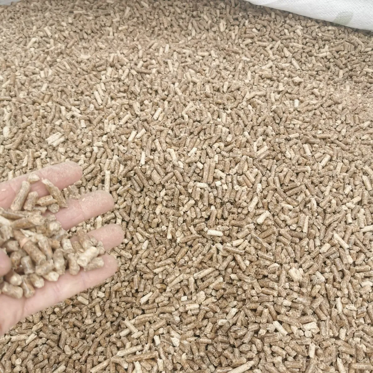 Grade A wood pellets for bedding or burning. Cheap - Image 2