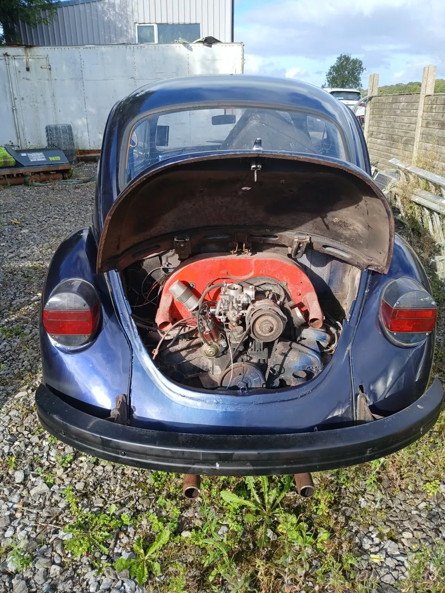 Beetles - Image 2