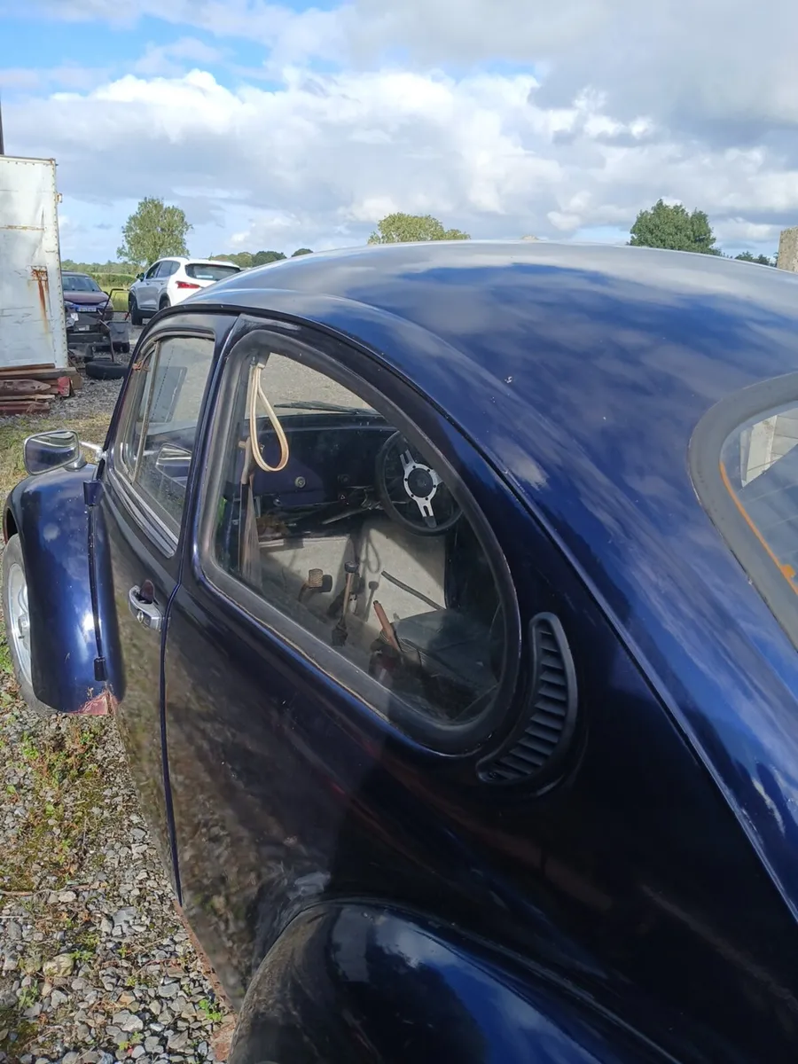 Beetles - Image 4