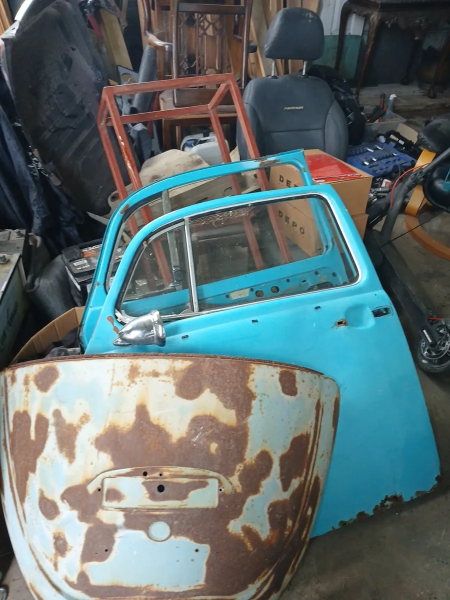 Beetles parts - Image 1