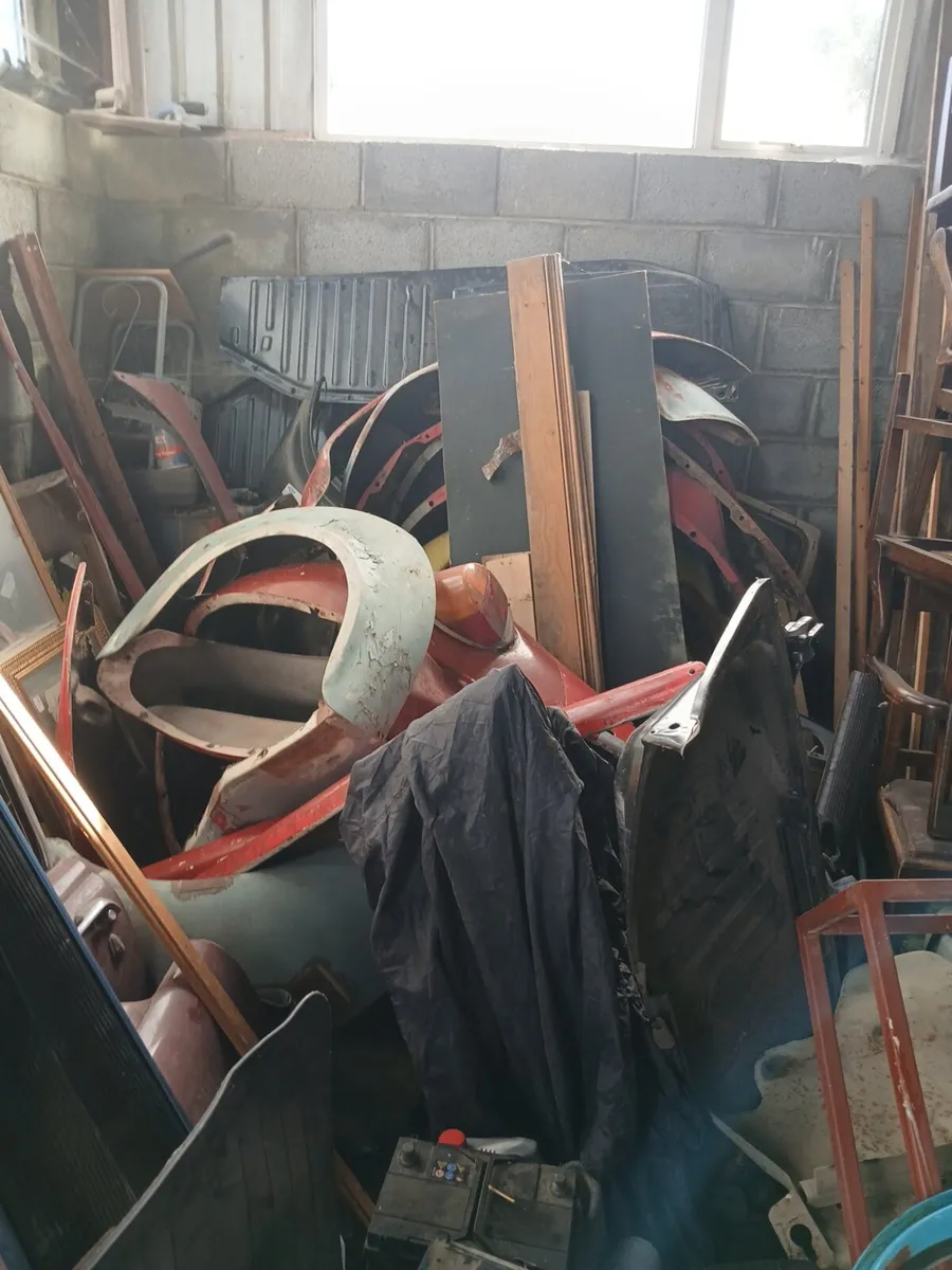 Beetles parts - Image 2