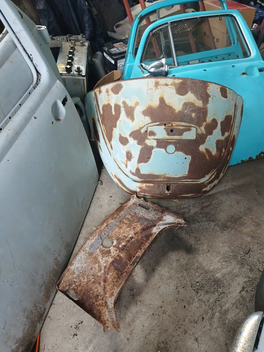 Beetles parts - Image 3