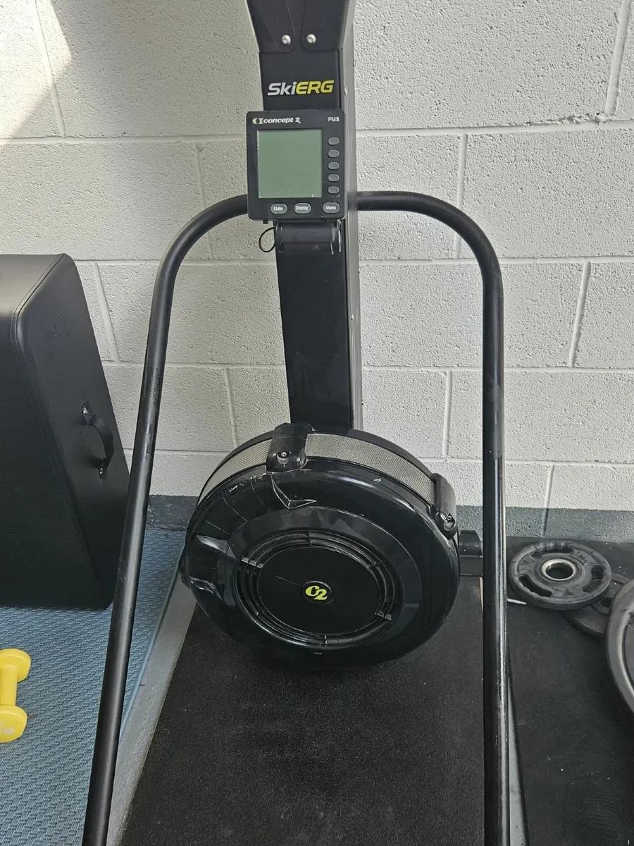 Concept 2 SkiErg - Image 1