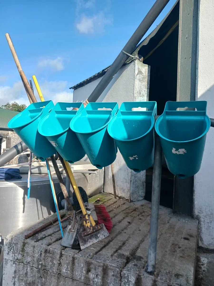 Calf  feeders