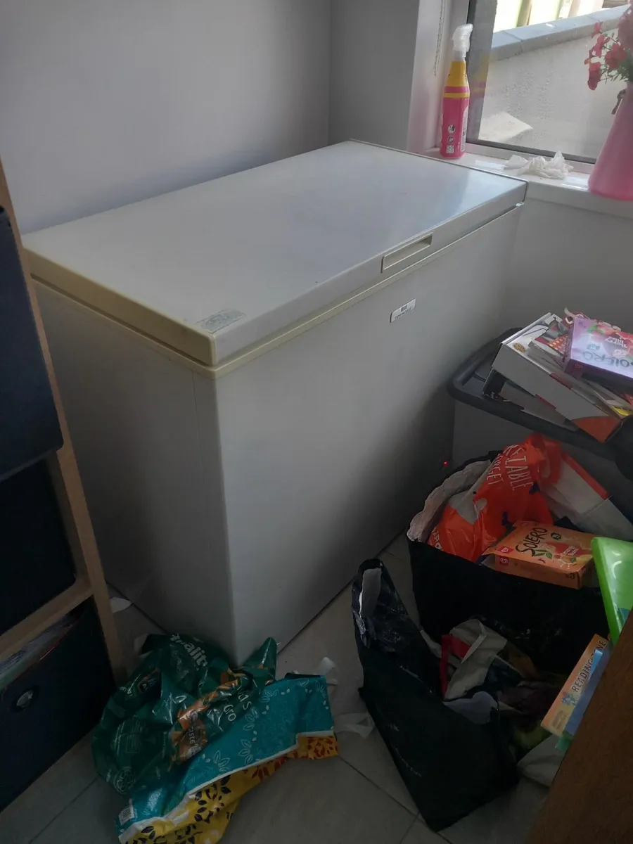 Box Freezer - Image 1