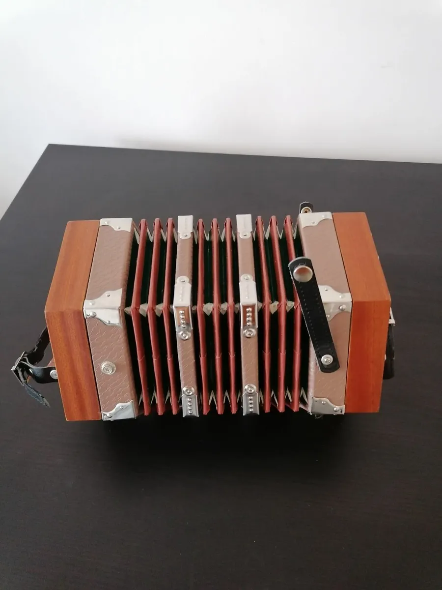 Concertina - Image 4