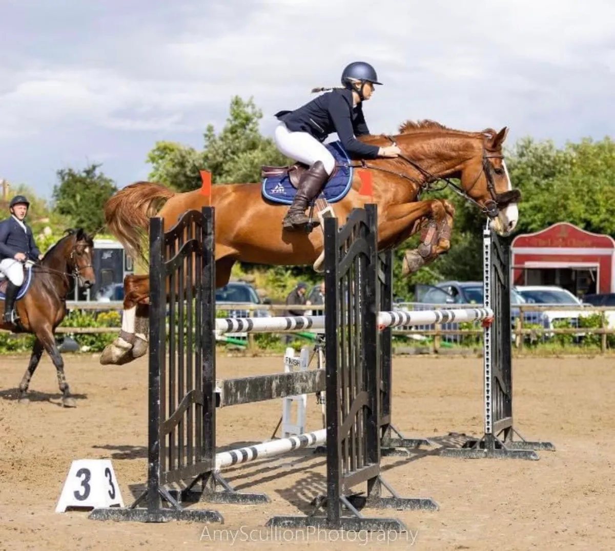 Showjumper/event type - Image 2