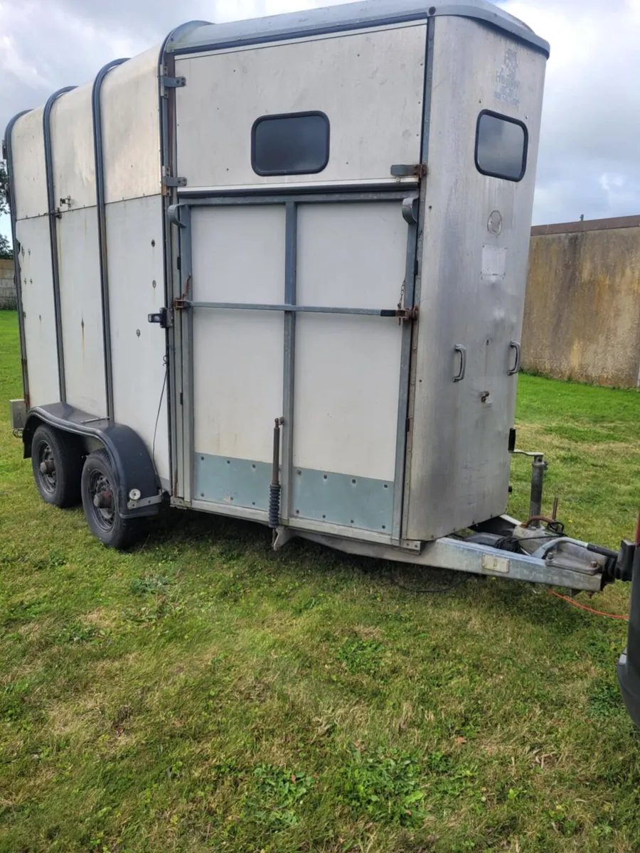 5,10 ifor Williams horse box with full divider - Image 1