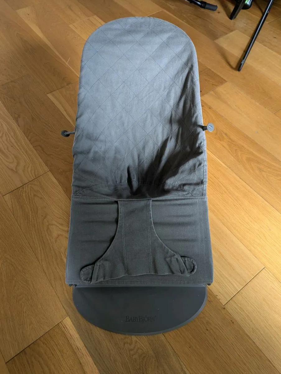 Baby Bjorn bouncer - Image 1