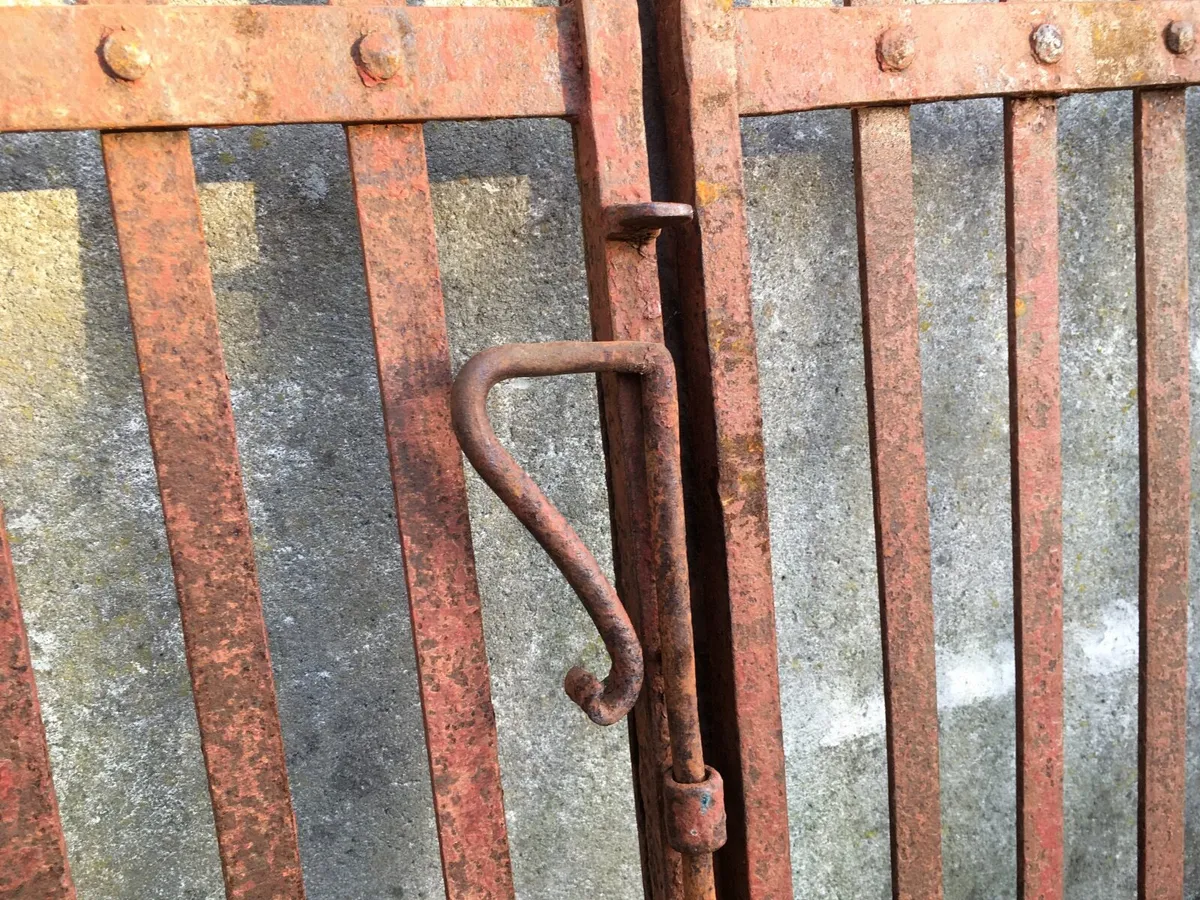 Wrought Iron Gates - Image 3