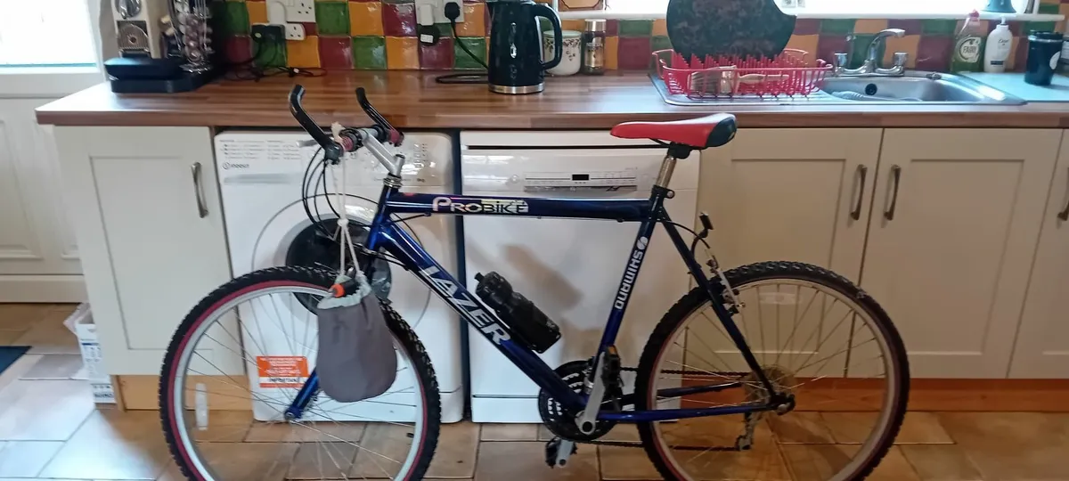 Mens Bicycle