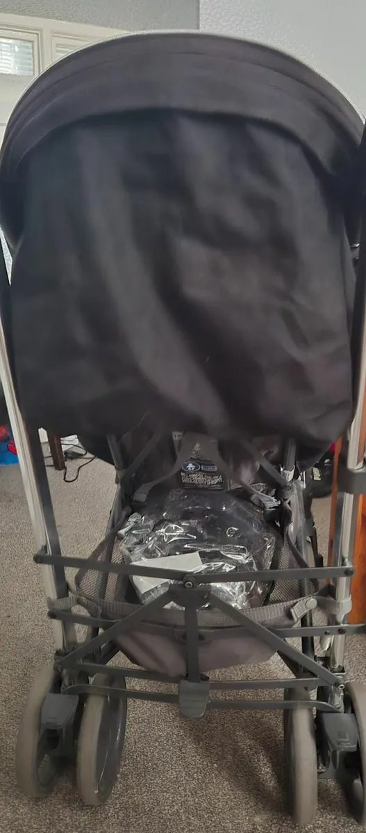Buggy - Image 1