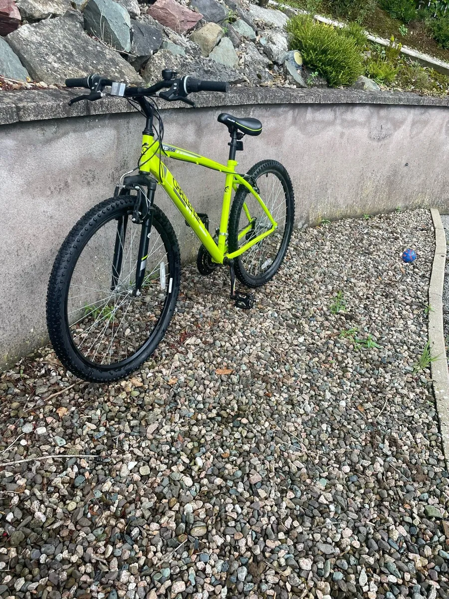 Mountain bike - Image 2