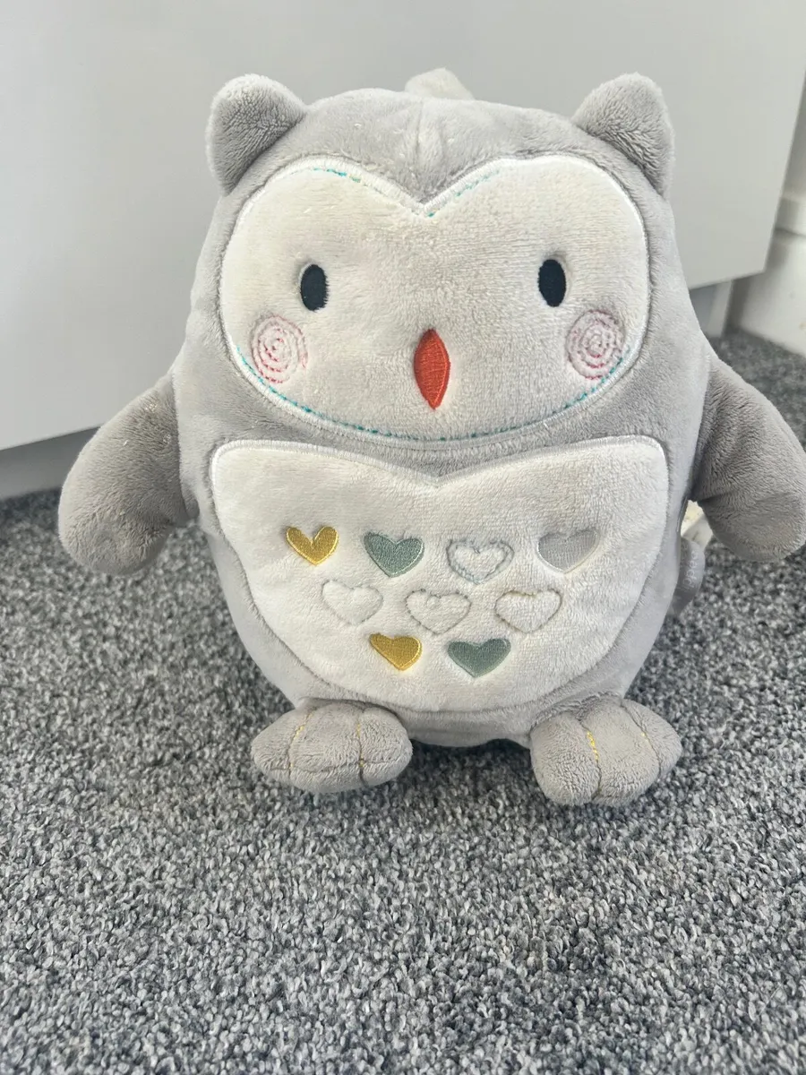 Ollie the owl - Image 1