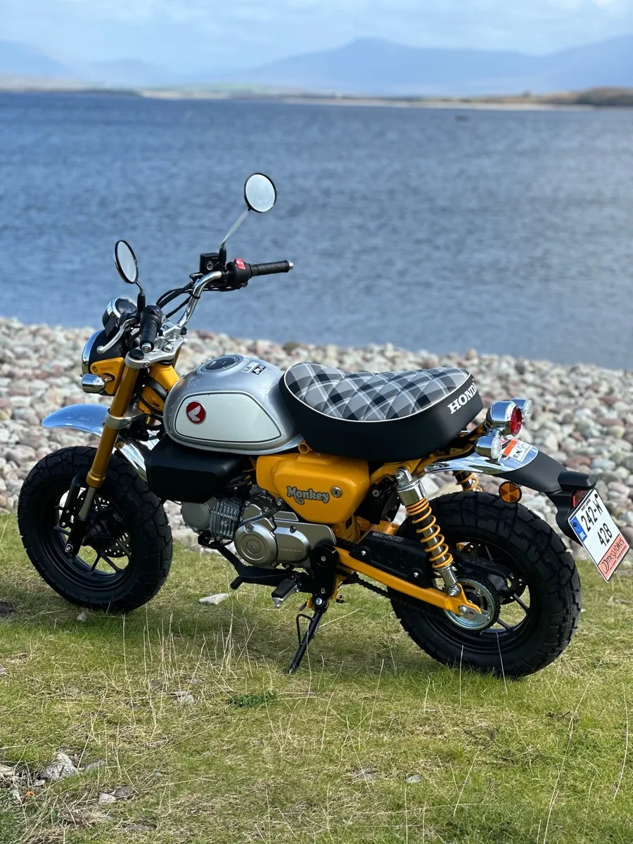 Honda Monkey - Image 3