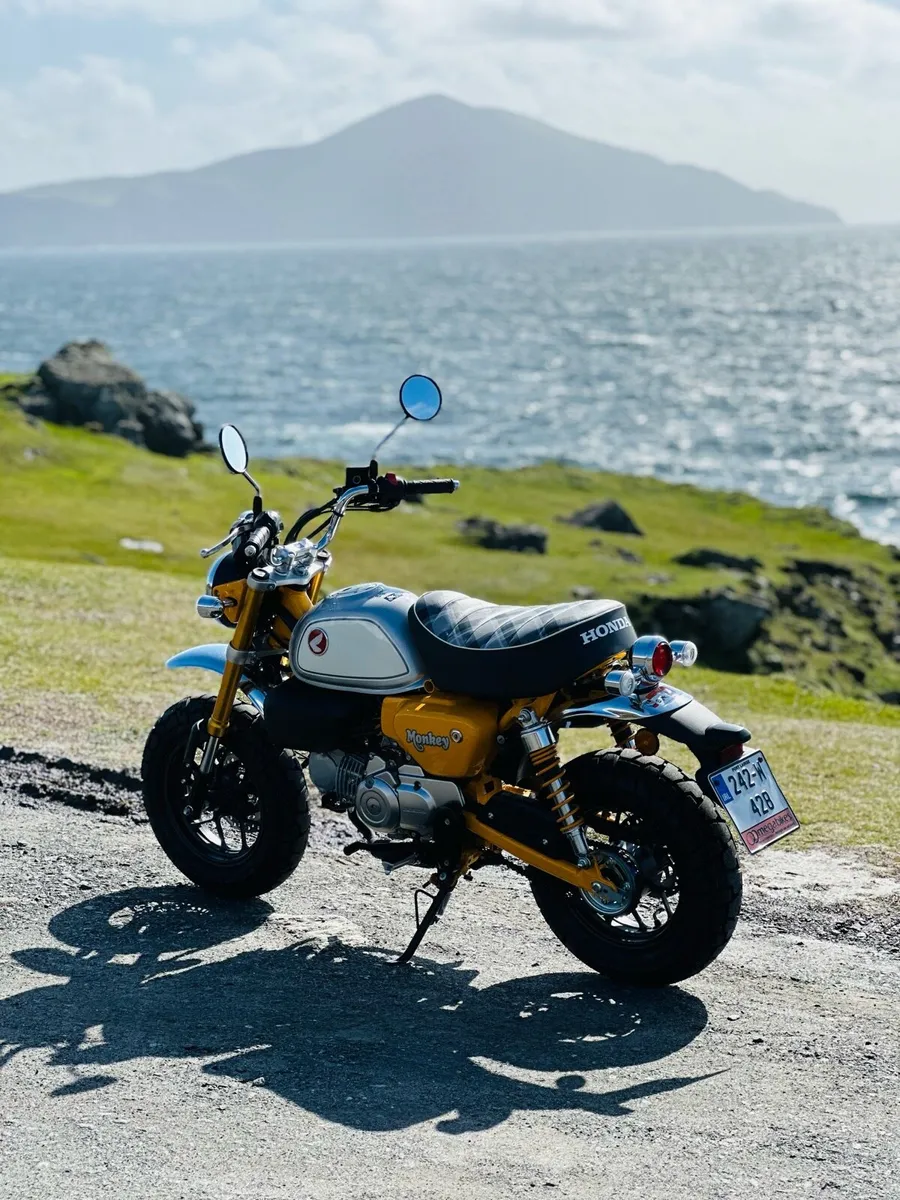 Honda Monkey - Image 4