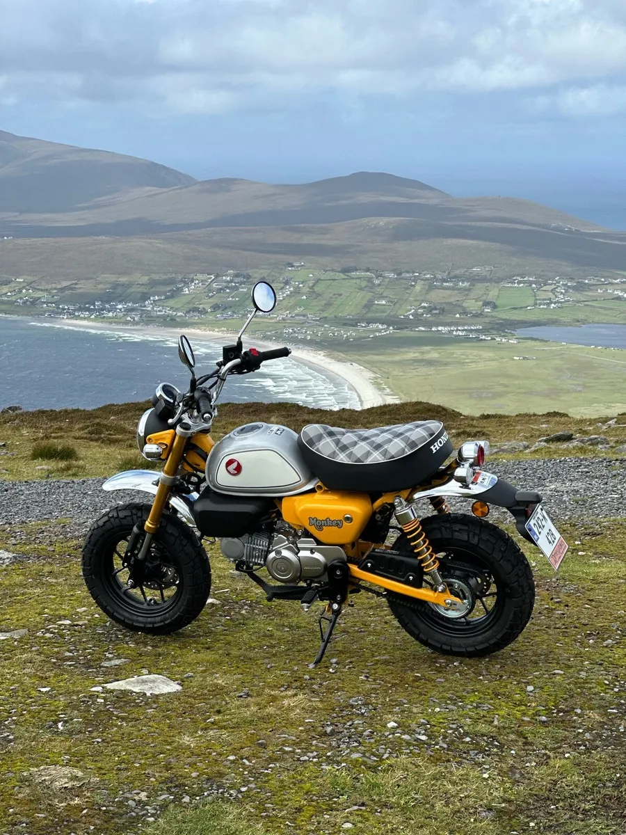 Honda Monkey - Image 1