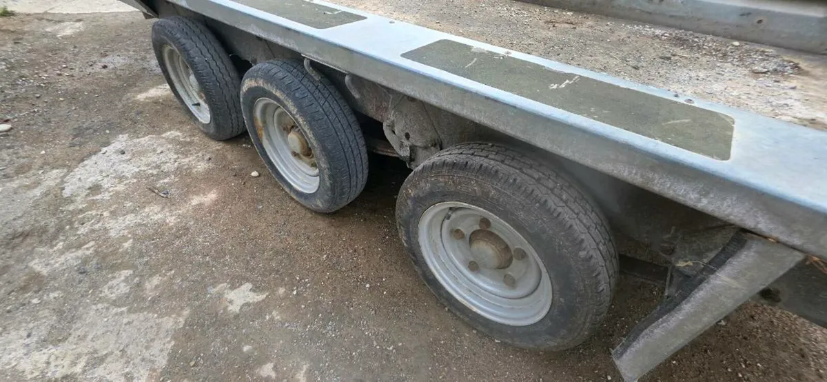 Triple axle plant trailer - Image 2
