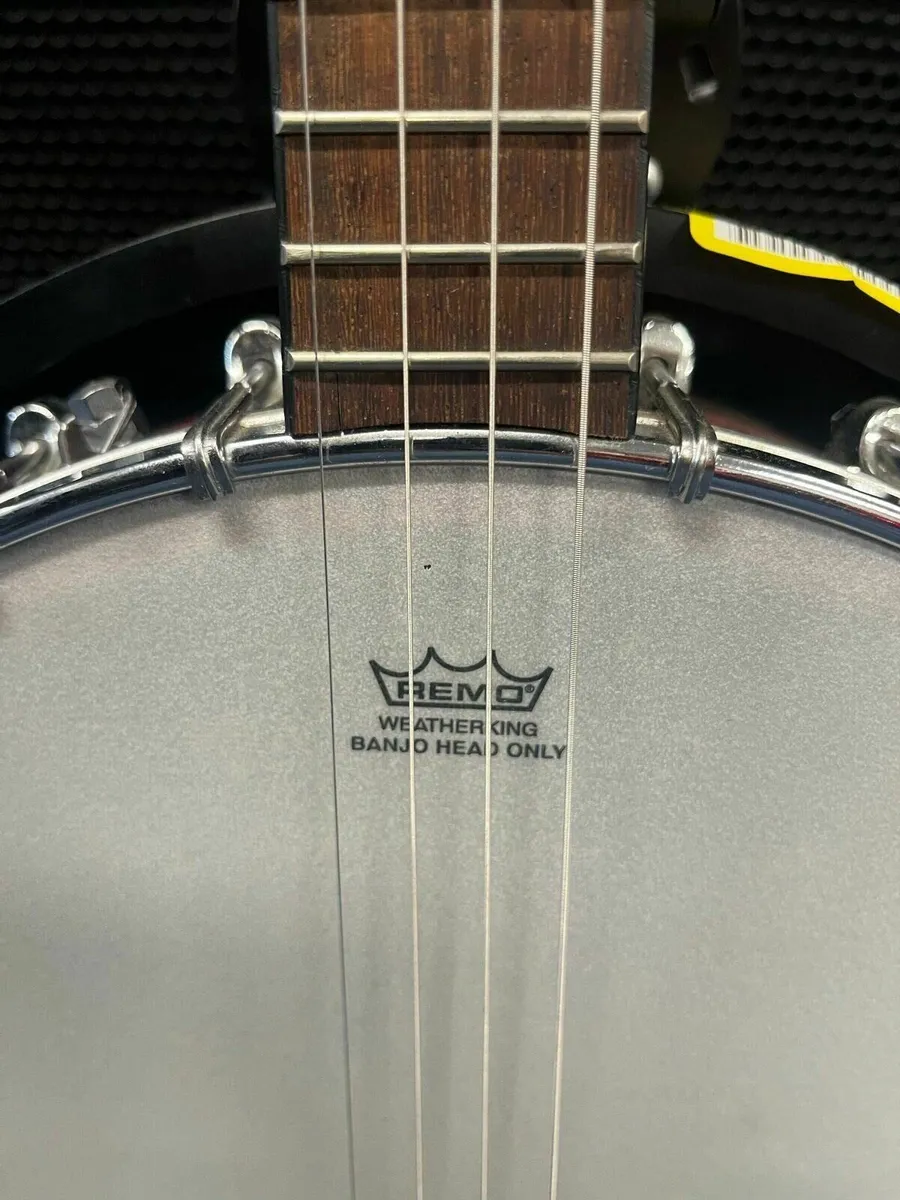Countryman LH Banjo - Image 3