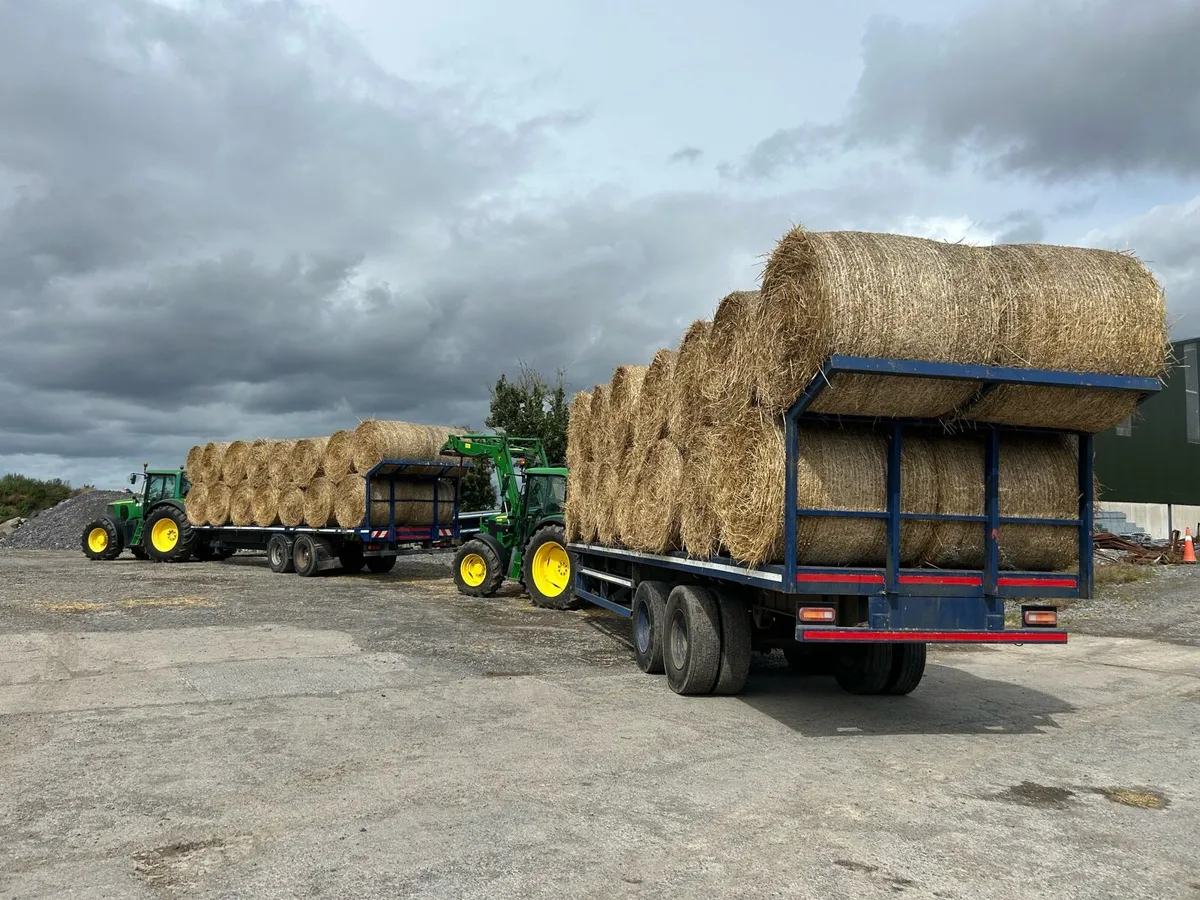 Wheat straw for sale