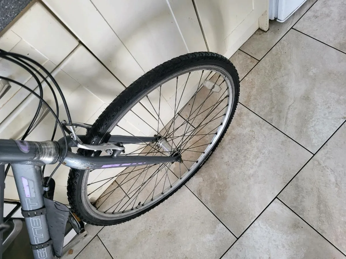 Ladies bike - Image 2