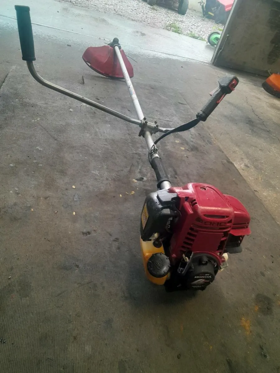Strimmer - Image 1