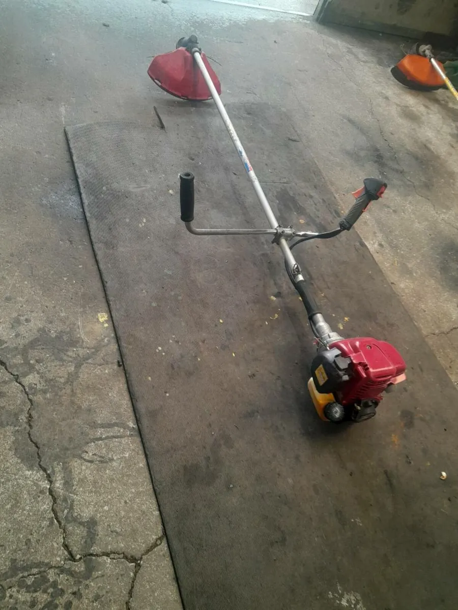 Strimmer - Image 4
