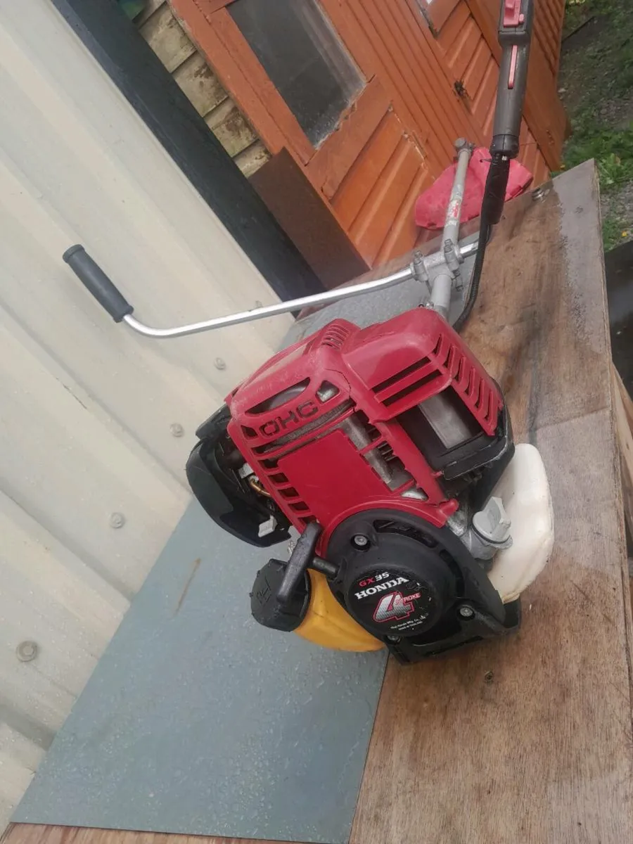 Strimmer - Image 2