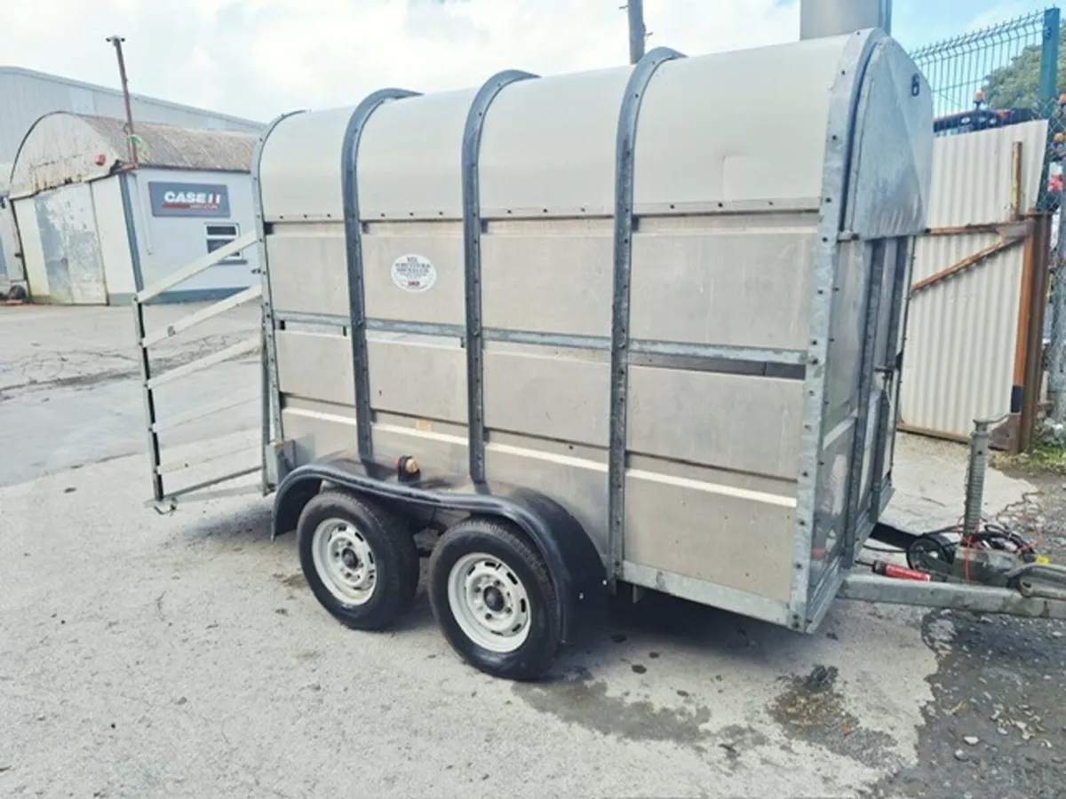 8 x 5 Cattle Box Trailer - Image 2