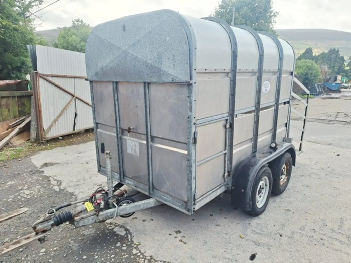 8 x 5 Cattle Box Trailer - Image 3