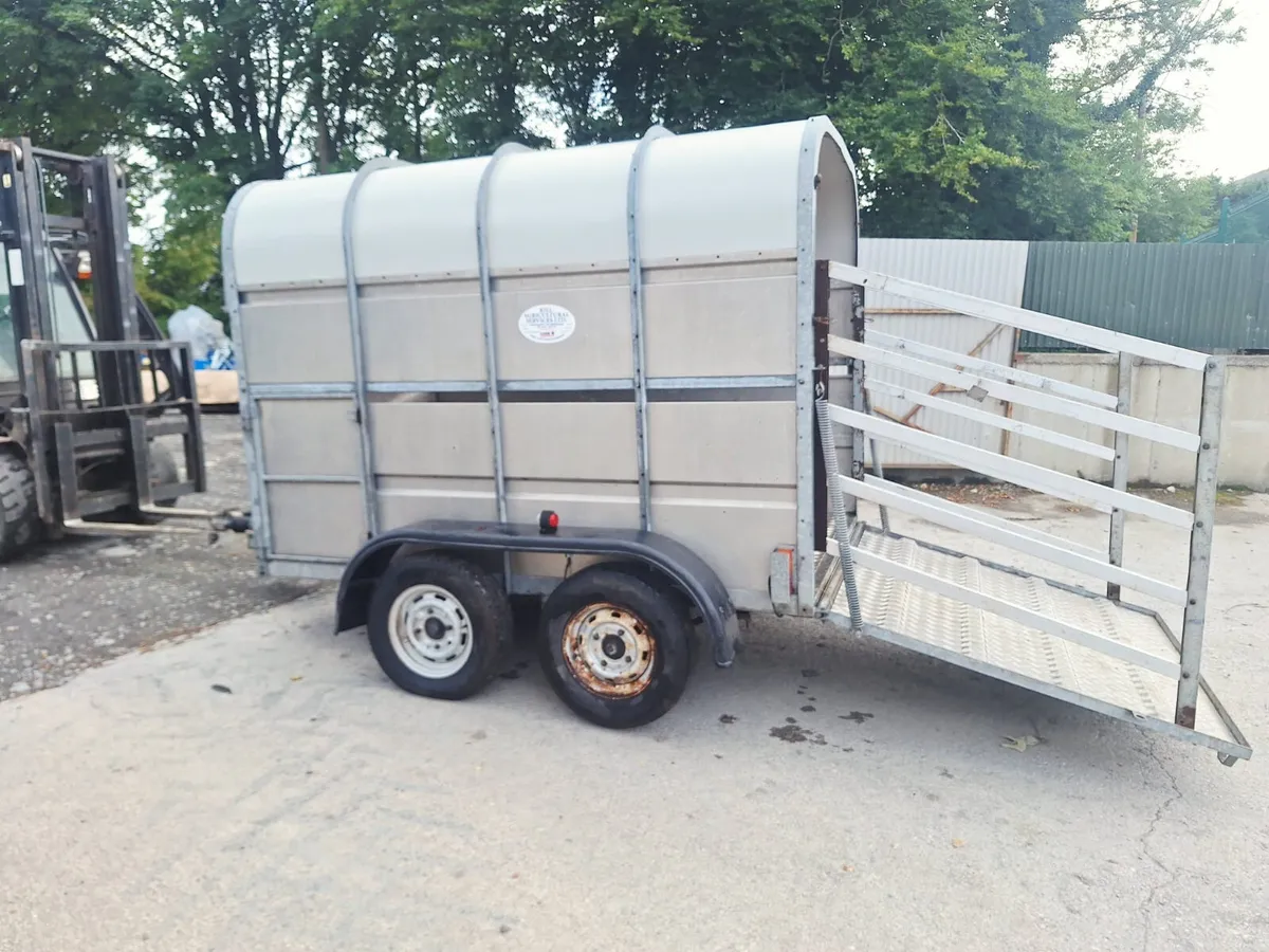 8 x 5 Cattle Box Trailer - Image 1