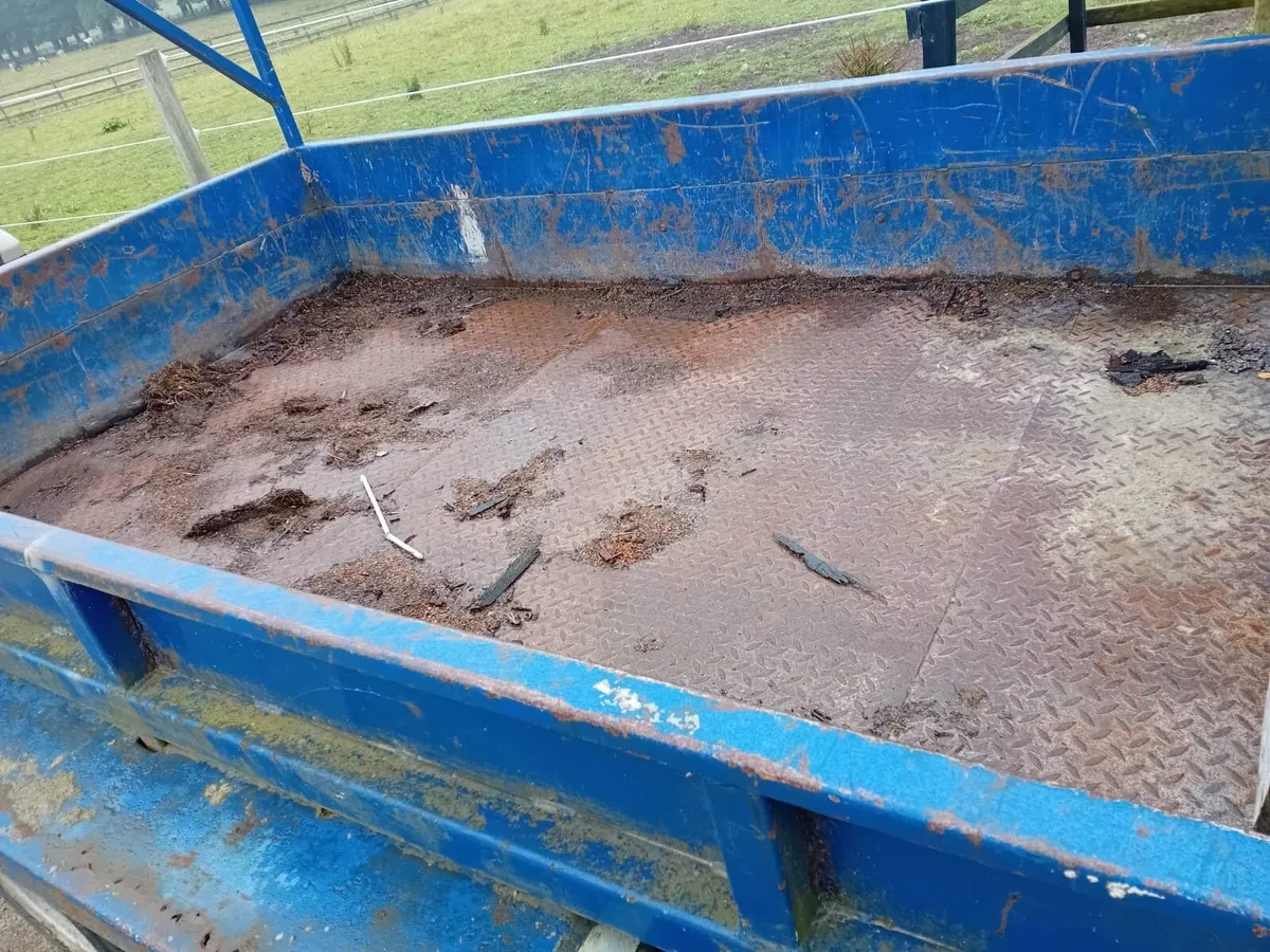 10Ft by 6.5Ft plant trailer - Image 2