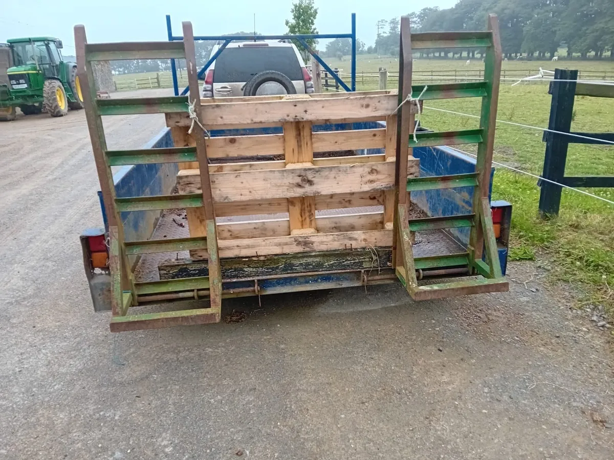 10Ft by 6.5Ft plant trailer - Image 3