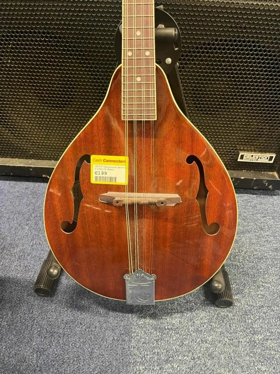 Tanglewood Mandolin - Image 3