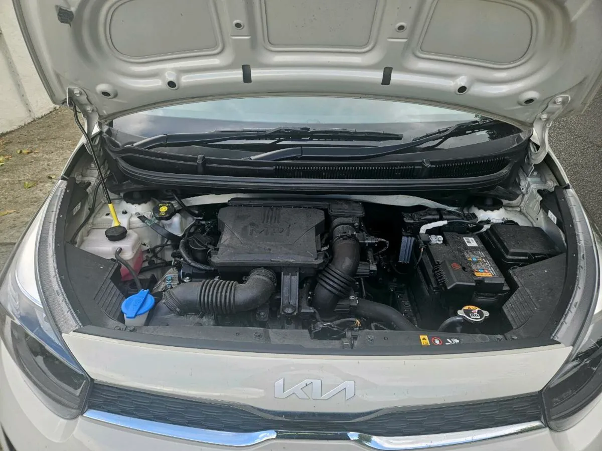 Kia Picanto 2024 - Cream - Showroom Condition - Image 4
