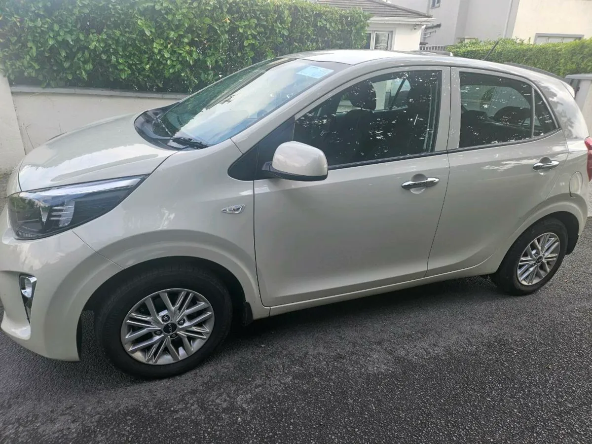 Kia Picanto 2024 - Cream - Showroom Condition - Image 1