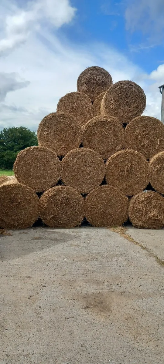 4x4 bales - Image 2