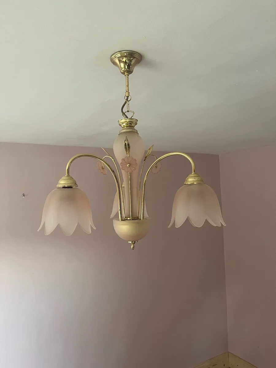 Vintage decorative chandelier light - Image 1