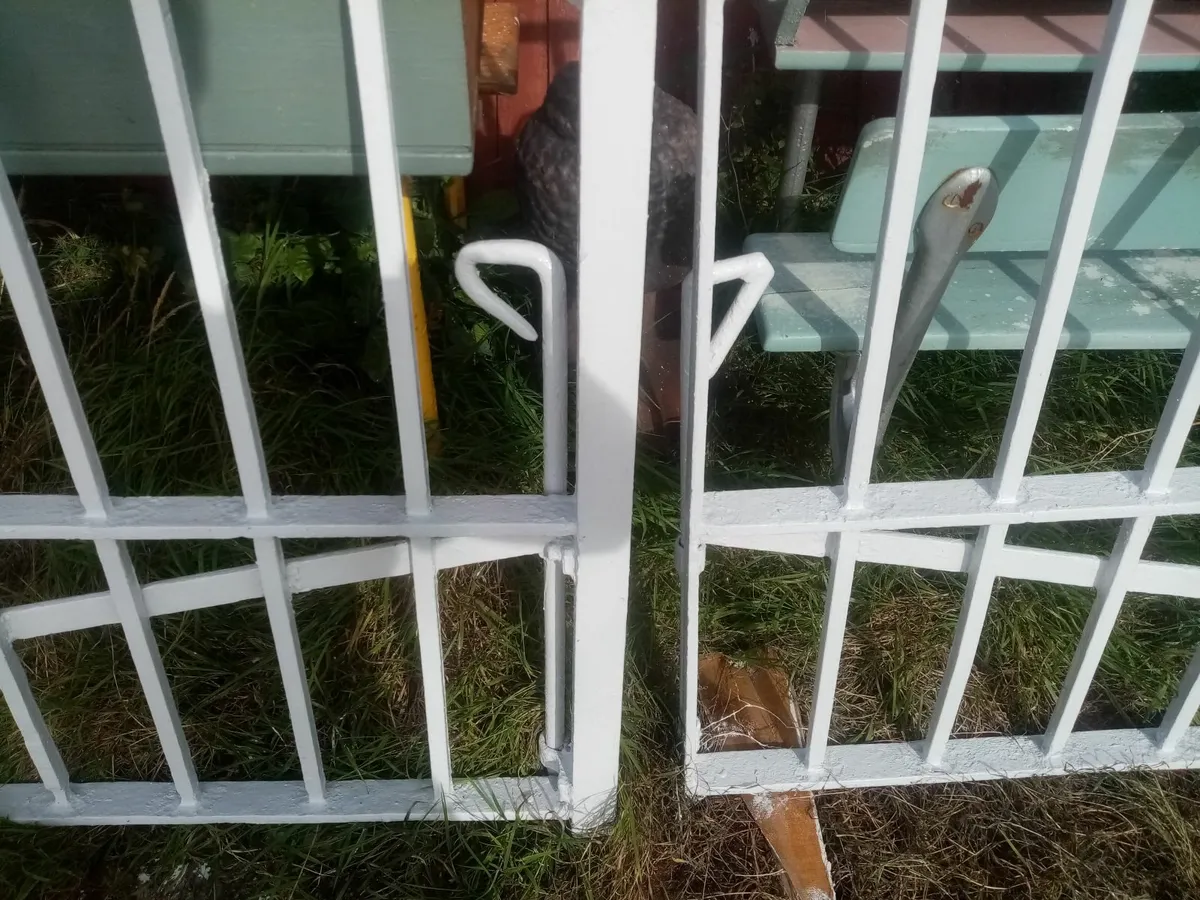 Antique Cast Iron Gate's. - Image 2